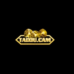 Taixiucam1vn
