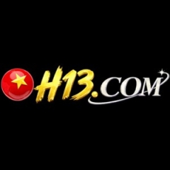 h13digital1