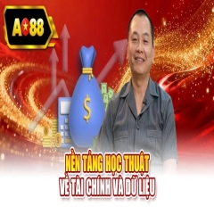 ceoao88nguyenducanh
